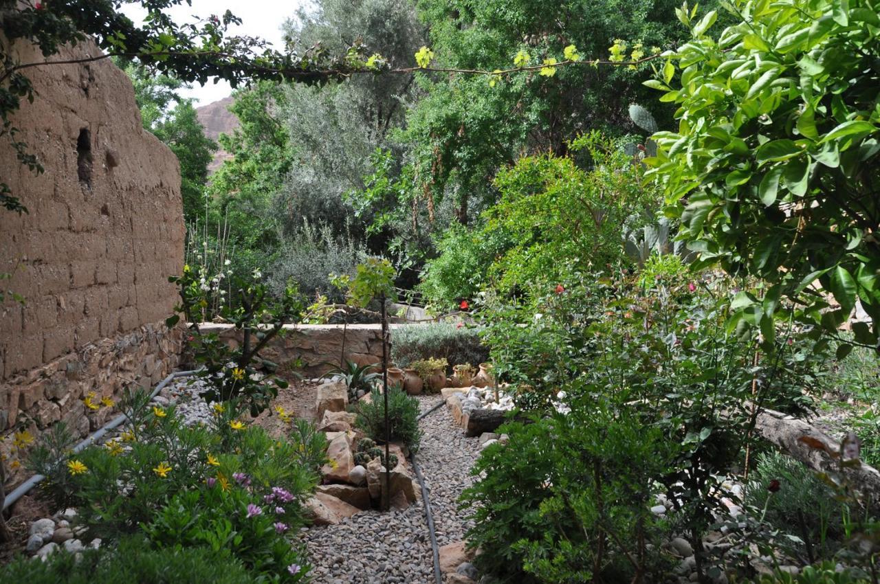 A Secret Garden Hotel Tinghir Bagian luar foto