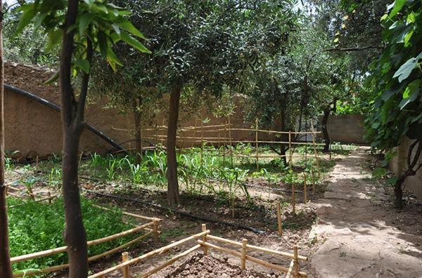 A Secret Garden Hotel Tinghir Bagian luar foto